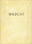 Primary view of The Wildcat, Yearbook of Archer City Schools, 1973