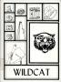 Yearbook: The Wildcat, Yearbook of Archer City Schools, 1985