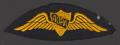 Thumbnail image of item number 1 in: '[Aircraft Owners and Pilots Association Patch]'.