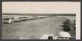 Photograph: [Airfield with Rows of Planes]