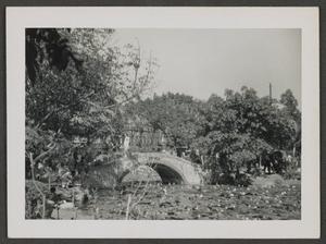 Primary view of object titled '[Bridge in a Garden]'.