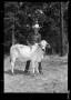 Photograph: [Boy with Cow, Cleveland Dairy Days]