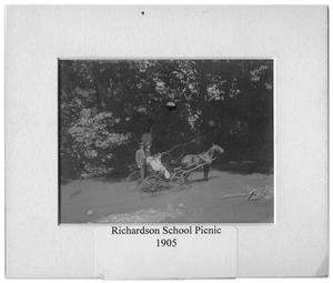 Primary view of object titled 'Richardson School Picnic'.