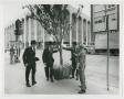 Primary view of [Men with a Tree for the Thanks-Giving Square Tree Planting Ceremony]