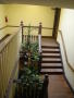 Photograph: [Plants and Stairs]
