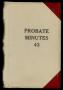 Book: Travis County Probate Records: Probate Minutes 43