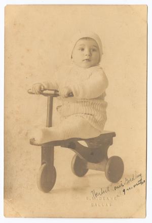 Primary view of object titled '[Baby Herbert Louis Goldberg]'.