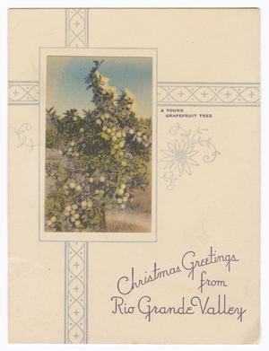 Primary view of object titled '[Christmas Card of Rio Grande Valley]'.