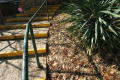 Photograph: [View of Steps Outside of Information Sciences Building]