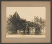 Primary view of [Photograph of the First Presbyterian Church of Waco]
