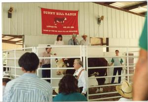 Primary view of object titled '[People Standing Around a Bull in a Ring at Dispersal Sale]'.