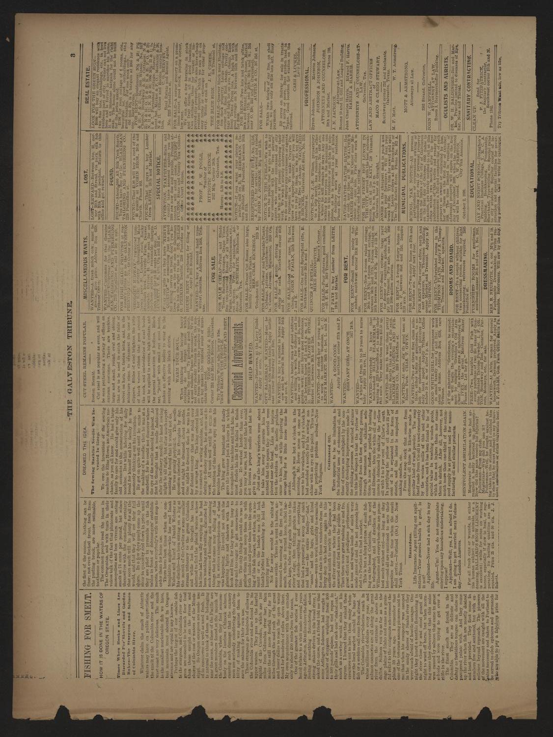 Galveston Tribune. (Galveston, Tex.), Vol. 19, No. 278, Ed. 1 Wednesday, October 11, 1899
                                                
                                                    [Sequence #]: 3 of 8
                                                