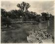 Photograph: [Swimmers at Barton Springs]