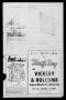 Thumbnail image of item number 3 in: 'The Wood County Record (Mineola, Tex.), Vol. 28, No. 43, Ed. 1 Monday, January 19, 1959'.