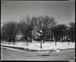 Photograph: [Governor's Mansion behind trees and under snow]