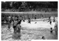 Photograph: [Bathers at Barton Springs Pool]