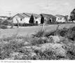 Photograph: [Houses on North Loop Boulevard]