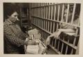 Photograph: [Female Travis County Jail worker offering books to a female inmate]