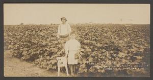 Primary view of object titled '[Man, Girl, and Dog on Farm]'.