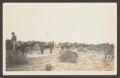 Postcard: [Cavalry Soldiers in Field]