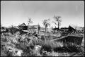Photograph: [Remains of Old Homestead-Nocona]