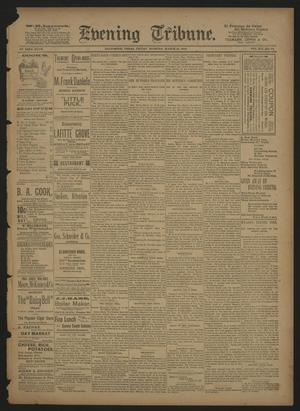 Primary view of object titled 'Evening Tribune. (Galveston, Tex.), Vol. 14, No. 94, Ed. 1 Friday, March 16, 1894'.