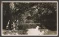 Primary view of [Postcard of "The Old Swimming Hole"]