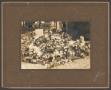 Thumbnail image of item number 1 in: '[Photograph of the graves of Virginia Vance Smith & Pearl Sublett]'.