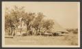 Photograph: [Photograph of a Large Tent Surrounded by Trees]