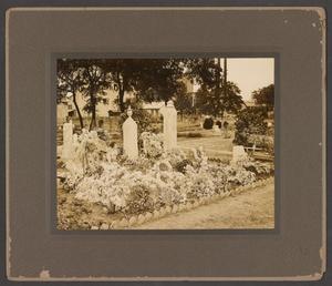 Primary view of object titled '[Photograph of Grave Markers]'.