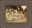 Thumbnail image of item number 1 in: '[Photograph of Grave Markers]'.
