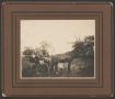 Photograph: [Photograph of a Man in a Horse Drawn Buggy #2]