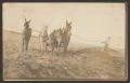 Primary view of [Postcard of Onie Martin & Horses]