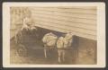 Photograph: [Postcard of a Small Child on a Goat Drawn Cart]