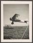 Photograph: [Planes in a Field]