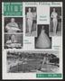 Newspaper: Lake Whitney Views (Whitney, Tex.), Vol. 10, No. 10, Ed. 1 Thursday, …