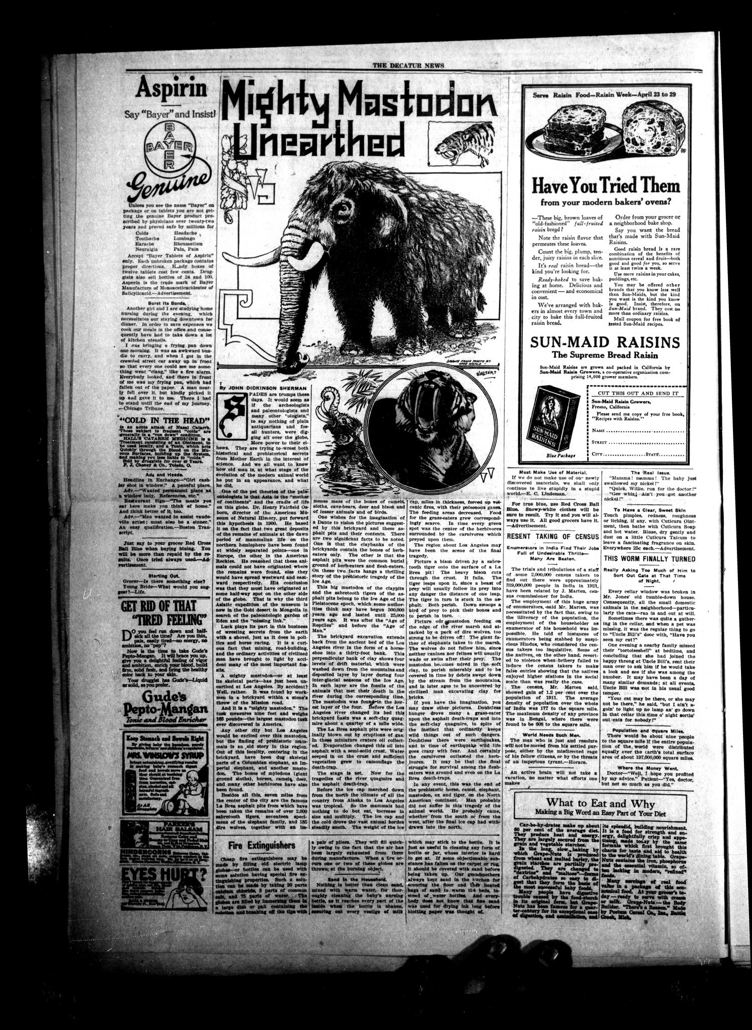 The Decatur News (Decatur, Tex.), Vol. 41, No. 51, Ed. 1 Thursday, April 26, 1923
                                                
                                                    [Sequence #]: 2 of 10
                                                