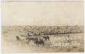 Thumbnail image of item number 1 in: '[Army tents and mules at Fort McIntosh, Laredo, Texas]'.