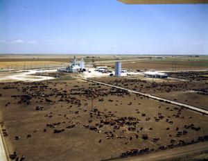 Primary view of object titled '[Aerial Photograph of Feed Yards in Deaf Smith County]'.