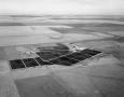 Primary view of [Aerial Photograph of Feed Yards in Deaf Smith County]