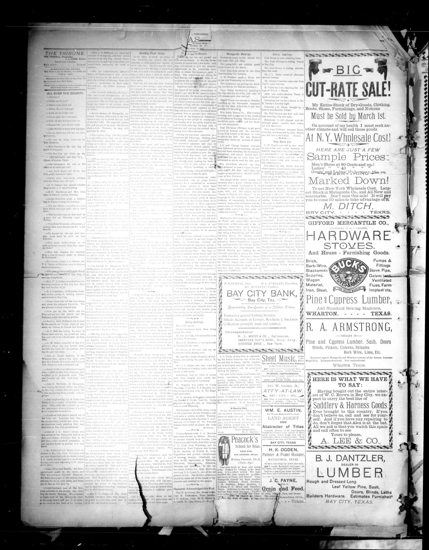 The Matagorda County Tribune. (Bay City, Tex.), Vol. 53, No. 20, Ed. 1 Saturday, January 28, 1899
                                                
                                                    [Sequence #]: 4 of 4
                                                