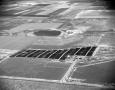 Photograph: [Aerial Photograph of Feed Yards in Winter]