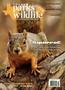 Primary view of Texas Parks & Wildlife, Volume 78, Number 6, October 2020