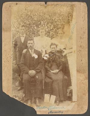 Primary view of object titled '[Steadman Family Portrait]'.