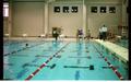 Primary view of [Swim meet in Natatorium including Texas A&M team]