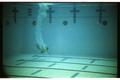 Primary view of [Diver entering water at Palo Alto College Natatorium]