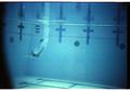 Photograph: [Swimmer diving into new Natatorium pool photograph]