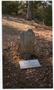 Primary view of [John Whiteside Grave]