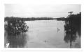Thumbnail image of item number 1 in: '[Trinity River Flood]'.