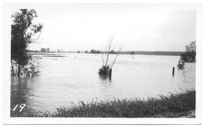 Primary view of object titled '[Trinity River Flood]'.